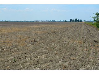Property photo 47 - FARM & LAND AUCTION - 125+/- ACRES OFFERED IN 5 TRACTS IN EAST ALLEN COUNTY, INDIANA